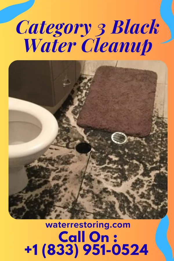 Category 3 Black Water Cleanup in Bedford Heights, OH