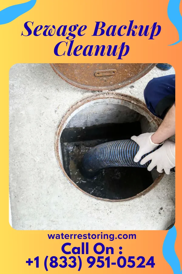 Sewage Backup Cleanup in Bedford Heights, OH