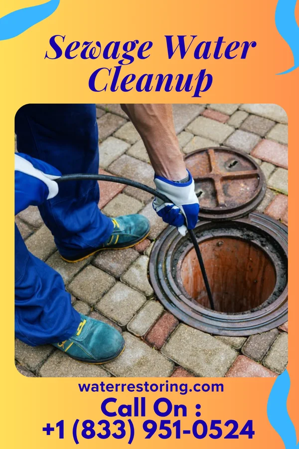 Sewage Water Cleanup in Bedford Heights, OH