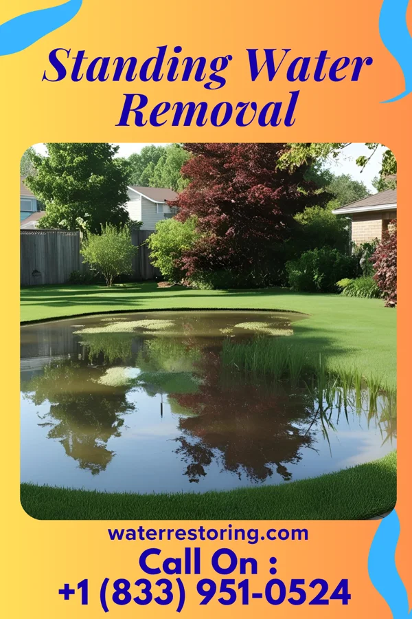 Standing Water Removal in Bedford Heights, OH